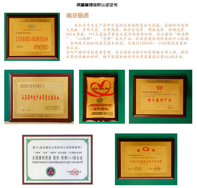羅馬柱、羅馬柱頭系列